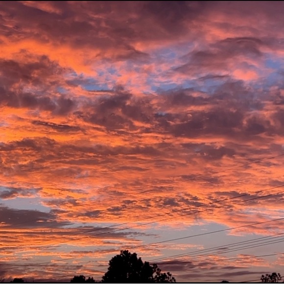 Meet your Posher, Alena - Picture 2 of 3